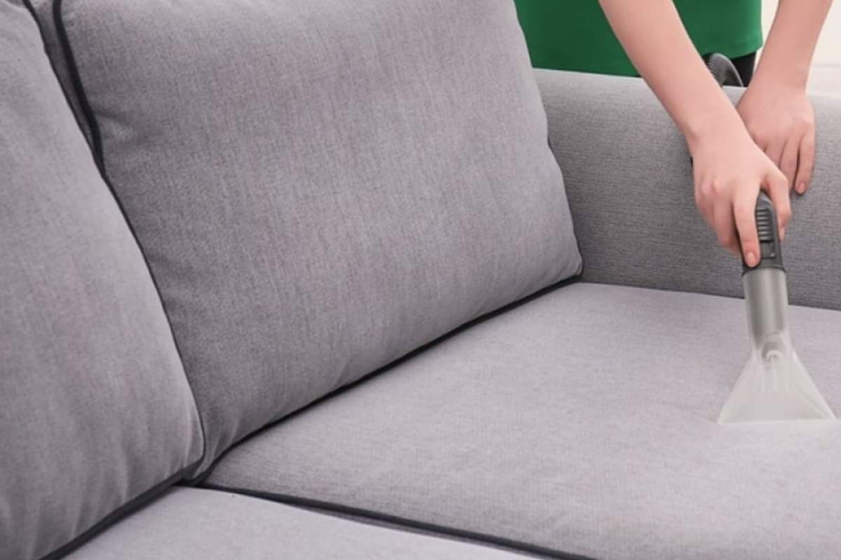  Buy and Price of clean plush velvet sofa 